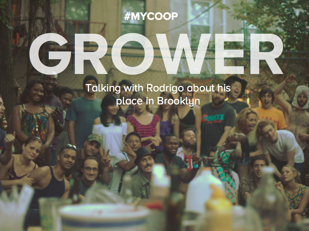 MYCOOP STORIES: Grower